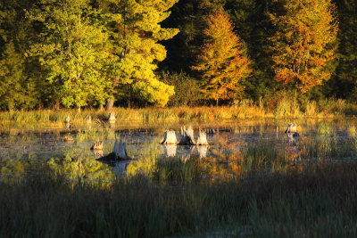 Approaching Sunset