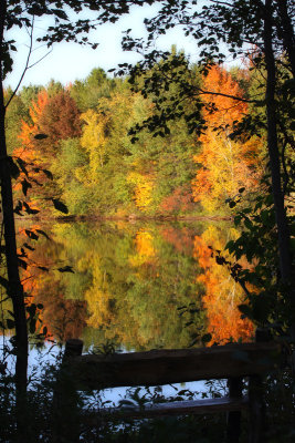 A View of the Lake