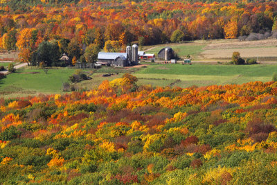 Farm Fall Color