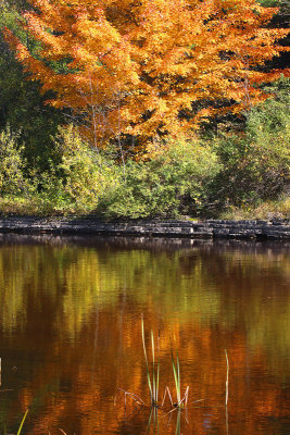 Additional Reflections