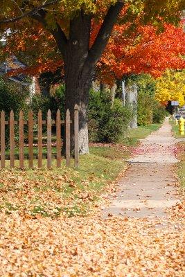Walking Down the Street