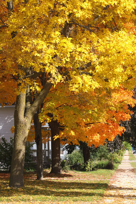 View Down the Sidewalk