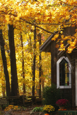 Chapel in the Forest