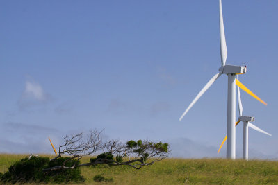 Wind Farm