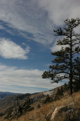 Colorado sky