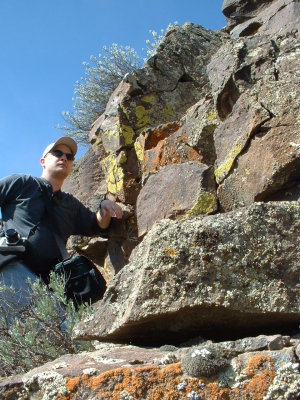 Lichen Rocks