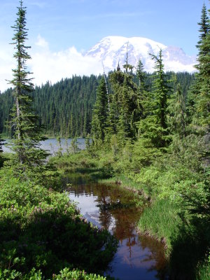 Reflection Lake stream