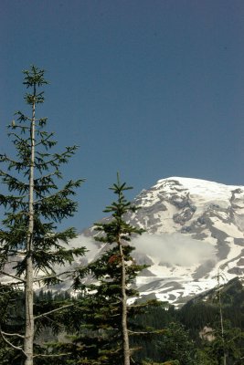 Treeline