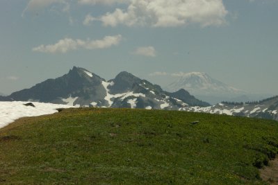 Alpine meadow