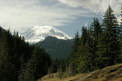 Mt. Rainier