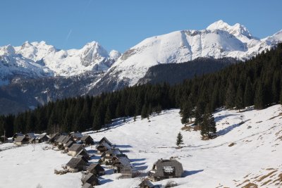 Zajamniki