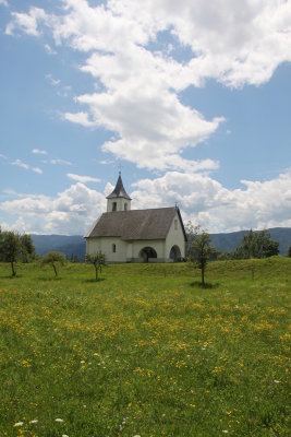 IMG_8563.JPG