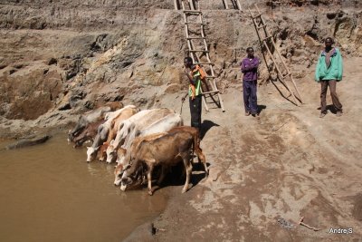 Wells of Borana