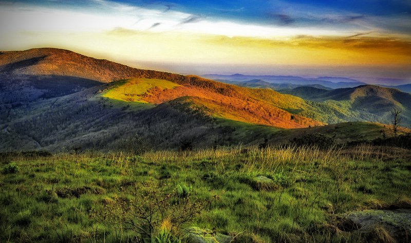 Landscape copy.jpg