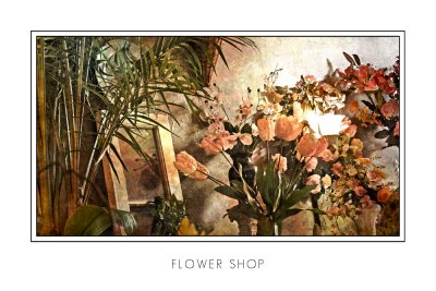 Flower Shop 6X4.jpg