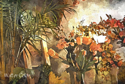 FotoSketcher - Flower Shop for FotoSketcher Water Color.jpg