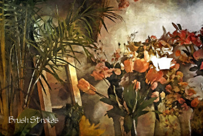 FotoSketcher - Flower Shop for FotoSketcher Brush Strokes.jpg