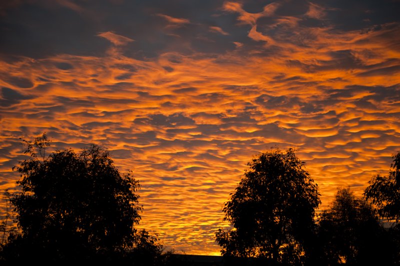 FIRE IN THE SKY OVER GOULBURN No3