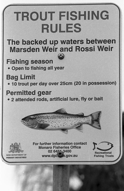 TROUT BEWARE!