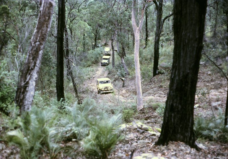 PART OF THE CONVOY SNAKING TOWARDS WIRRABA RIDGE