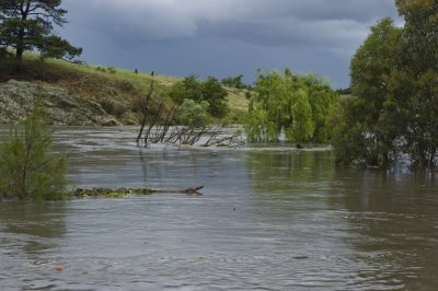 WOLLONDILLY RIVER IN FLOOD