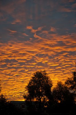 FIRE IN THE SKY OVER GOULBURN No4