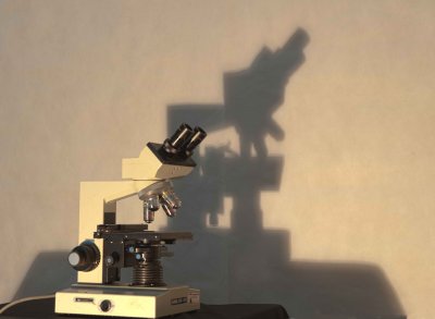 A MICROSCOPIC SHADOW