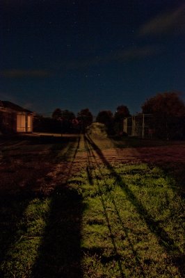 SHADOWS ON THE GRASS