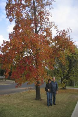 AUTUMN LEAVES WITH DEB AND JOHN