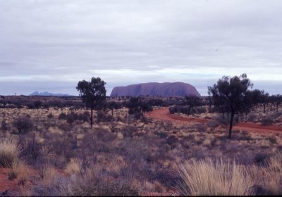 APPROACHING THE ROCK WITH THE OLGAS IN THE DISTANCE