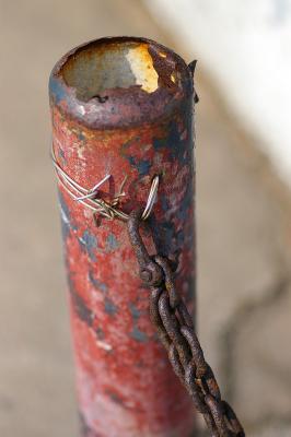 IMGP0478.jpg