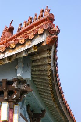 IMGP0479.jpg