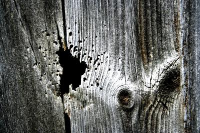 Barn Wood Contrasty.jpg