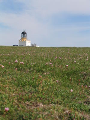Brough of Birsay Lighthouse, Orkney