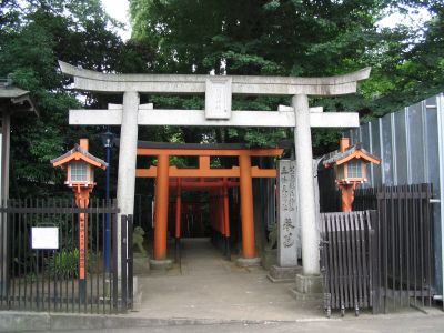 Torii Gates, Ueno Park, Tokyo