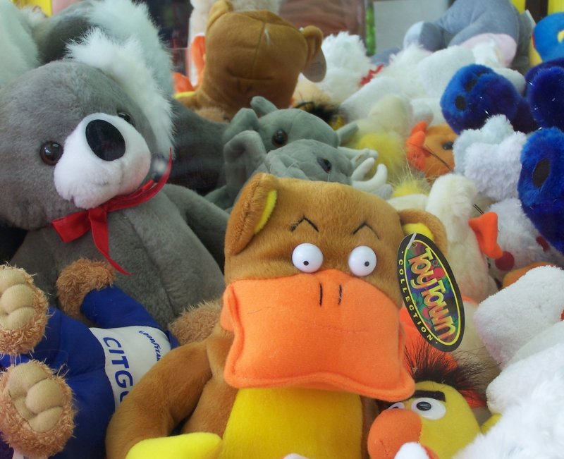 Inside the Claw...