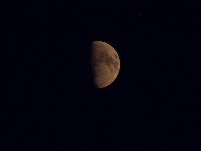 Cratered Moon