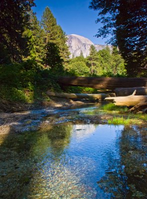 Little Pond and Half Dome