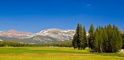 Tuolumne Meadows