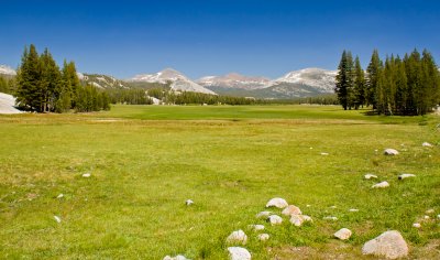 Tuolumne Meadows