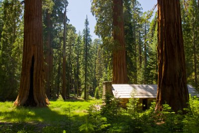 Sequoia Museum