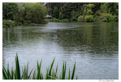 g4/80/727980/3/135102464.h2cRiTLT.jpg