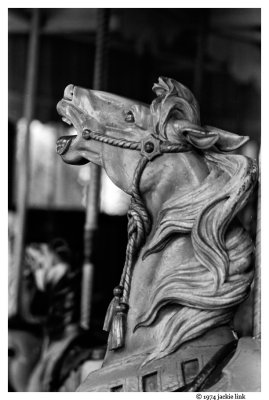 Carousel horse in BW.jpg