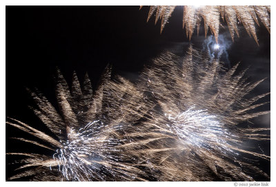 Feathered fireworks_09.jpg