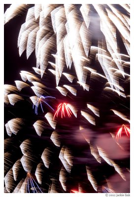 Feathered fireworks_08.jpg
