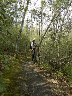 Hiking Occoneechee Mtn Loop Trail