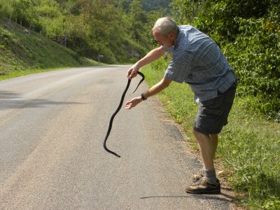 Saving a Black Snake