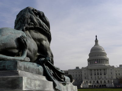 Lion at the Capital
