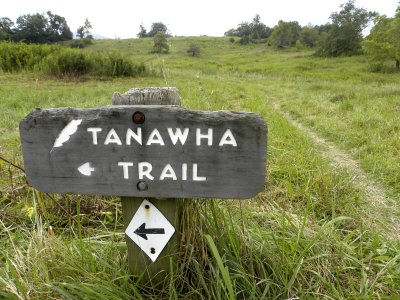 Tanawha Trail where it crosses Holloway Mountain Road