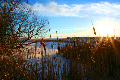 Prairie in Winter